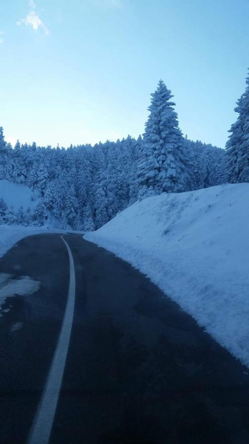 Άγρια Λούλουδα Κατοικία Αρμονία Timfristos ภายนอก รูปภาพ
