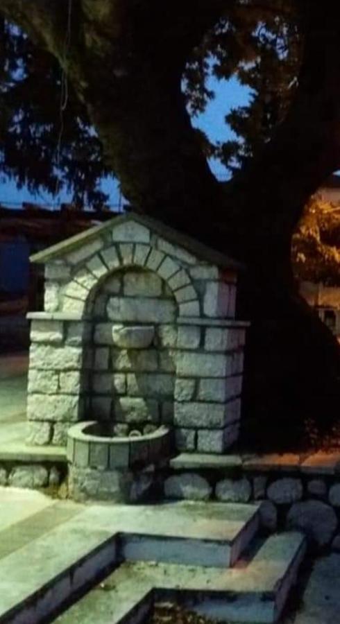 Άγρια Λούλουδα Κατοικία Αρμονία Timfristos ภายนอก รูปภาพ