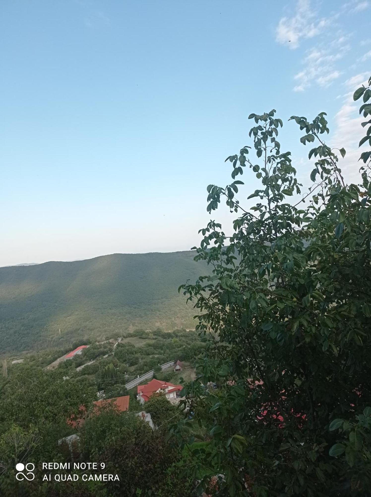 Άγρια Λούλουδα Κατοικία Αρμονία Timfristos ภายนอก รูปภาพ
