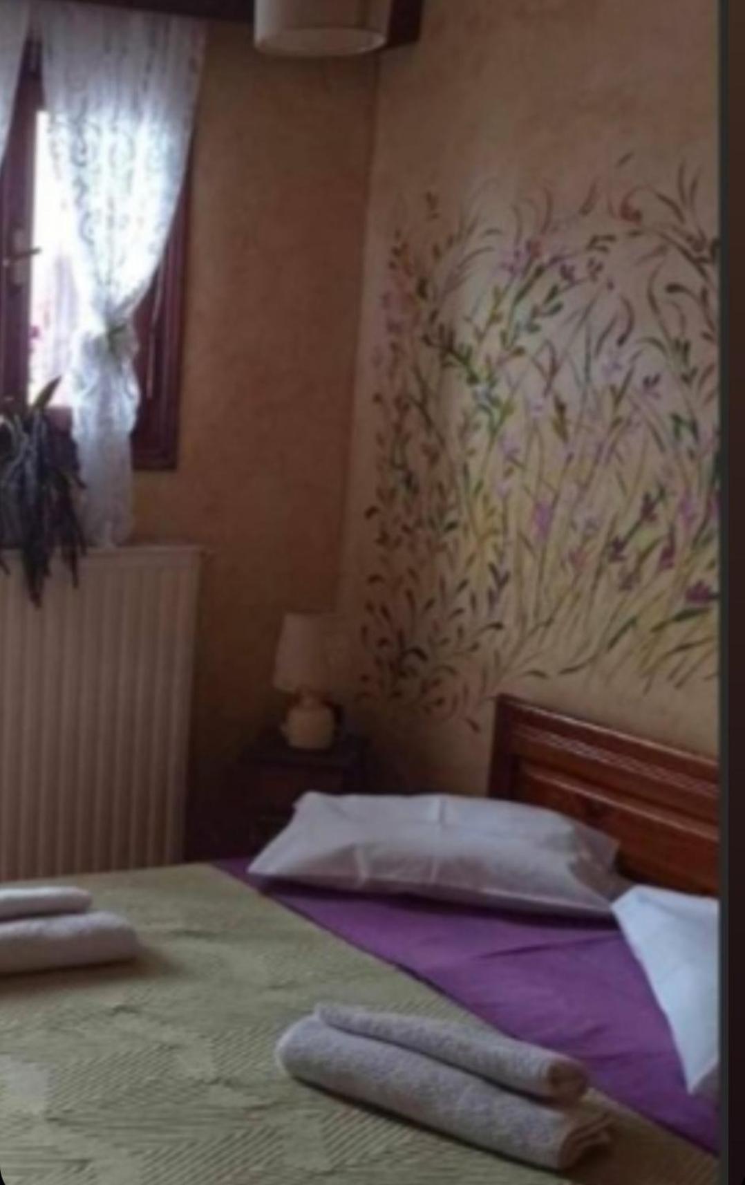 Άγρια Λούλουδα Κατοικία Αρμονία Timfristos ภายนอก รูปภาพ